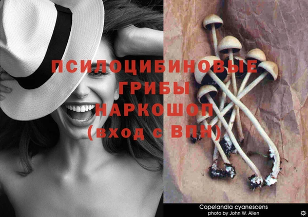 не бодяженный Абдулино