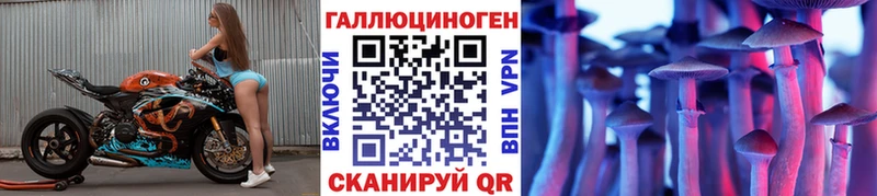 hydra tor  Полевской  Галлюциногенные грибы MAGIC MUSHROOMS 
